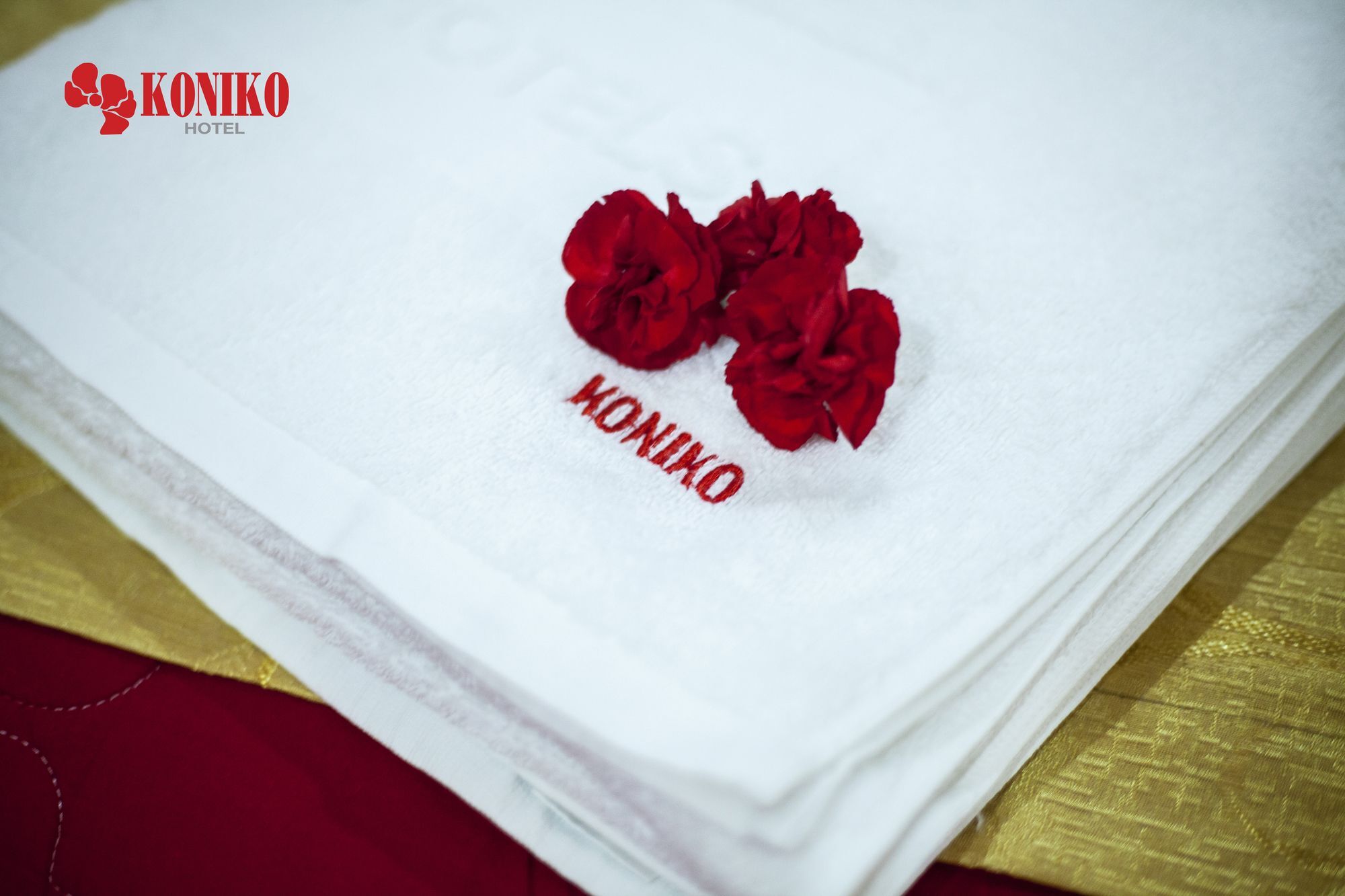 Khách sạn Koniko *